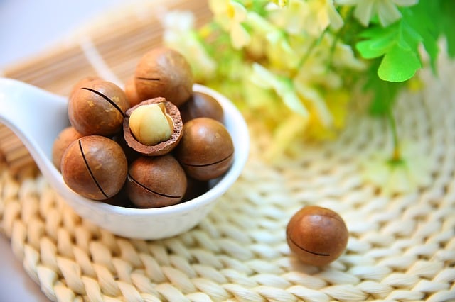 Orzechy makadamia – właściwości, wartości odżywcze i witaminy