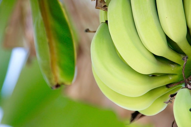 Chipsy bananowe – czy warto sięgać po taką przekąskę?