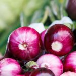 Syrop z cebuli - właściwości, dawkowanie i przepis