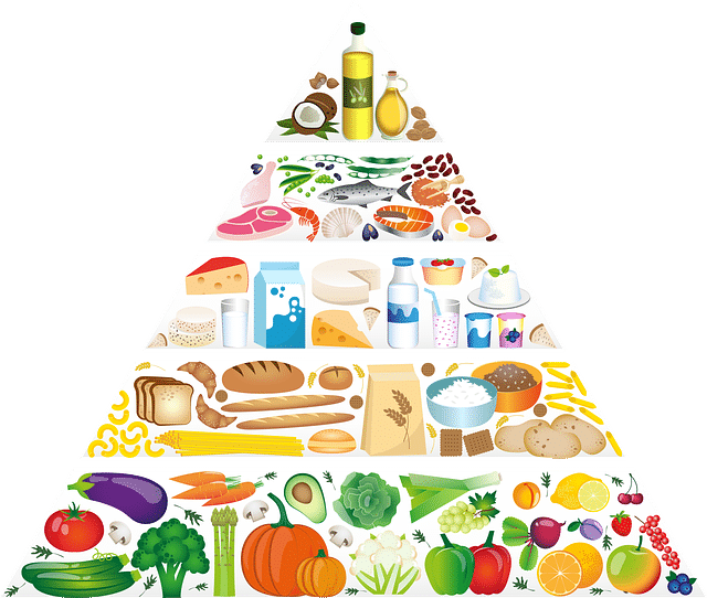 Piramida zdrowego żywienia i aktywności fizycznej